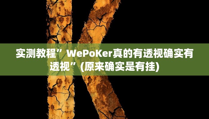 实测教程”WePoKer真的有透视确实有透视”(原来确实是有挂)