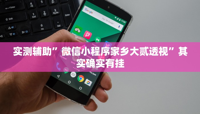 实测辅助”微信小程序家乡大贰透视”其实确实有挂