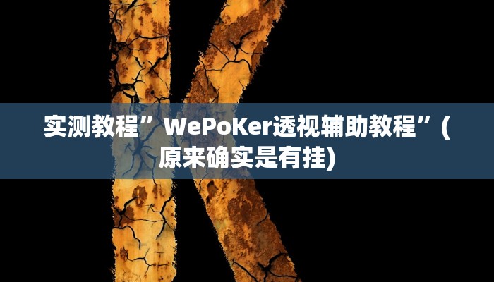 实测教程”WePoKer透视辅助教程”(原来确实是有挂)