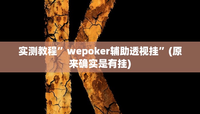 实测教程”wepoker辅助透视挂”(原来确实是有挂)