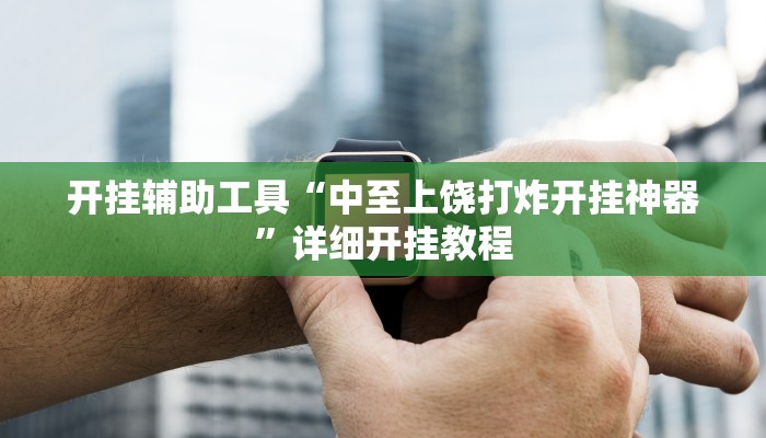 实测教程”乐清十三张辅助怎么弄”(原来确实是有挂)