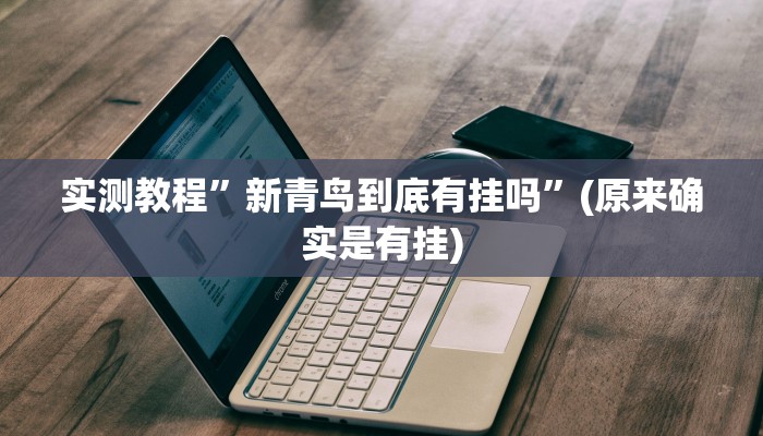 实测教程”新青鸟到底有挂吗”(原来确实是有挂)