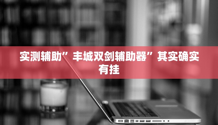 实测辅助”丰城双剑辅助器”其实确实有挂