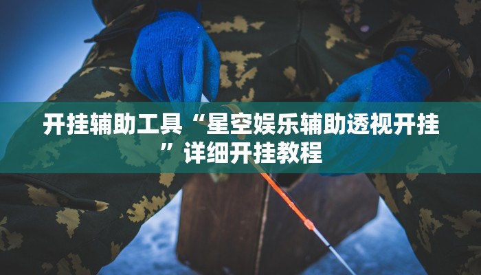 开挂辅助工具“星空娱乐辅助透视开挂”详细开挂教程