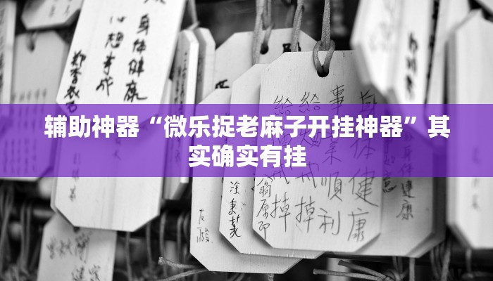 辅助神器“微乐捉老麻子开挂神器”其实确实有挂