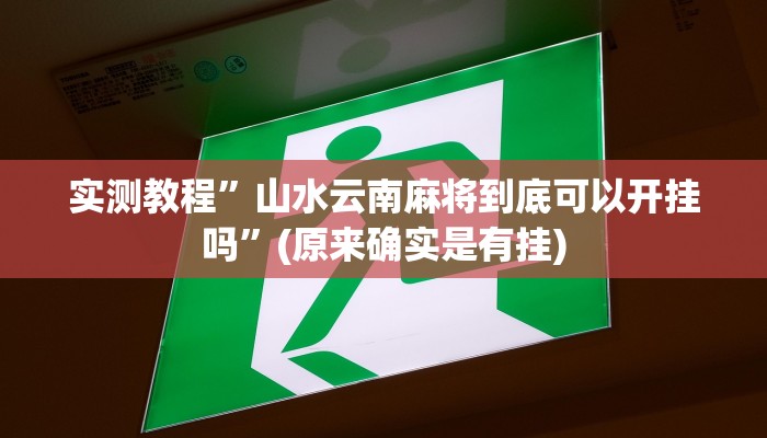 实测教程”山水云南麻将到底可以开挂吗”(原来确实是有挂)