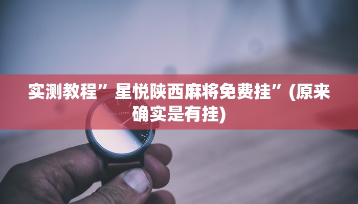 实测教程”hhpoker辅助器”(原来确实是有挂)