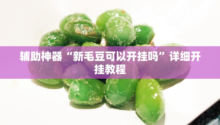 实测教程”德州局WePoker辅助作弊透视挂”(原来确实是有挂)