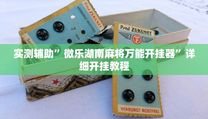实测教程”WePoKer作弊挂方法”(原来确实是有挂)