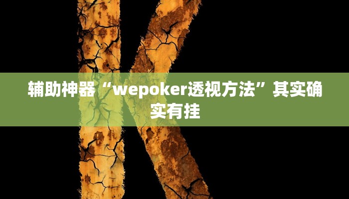 辅助神器“wepoker透视方法”其实确实有挂