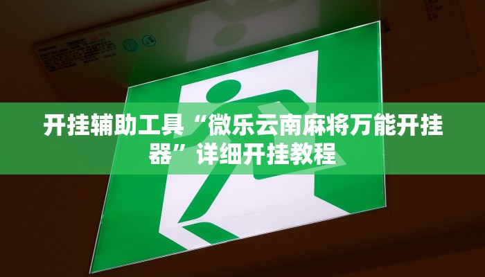 开挂辅助工具“微乐云南麻将万能开挂器”详细开挂教程