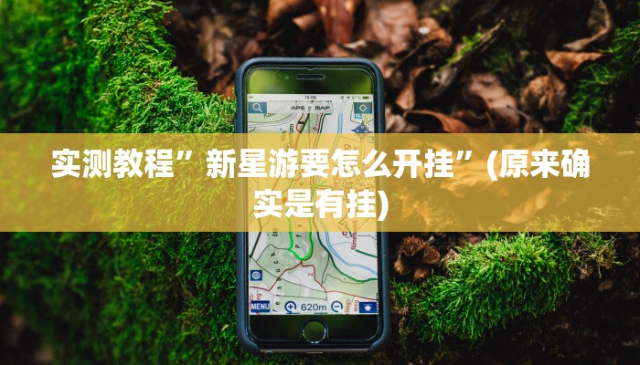 实测教程”新星游要怎么开挂”(原来确实是有挂)