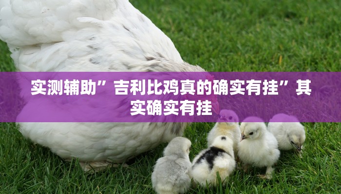 实测辅助”吉利比鸡真的确实有挂”其实确实有挂