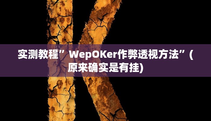 实测教程”WepOKer作弊透视方法”(原来确实是有挂)