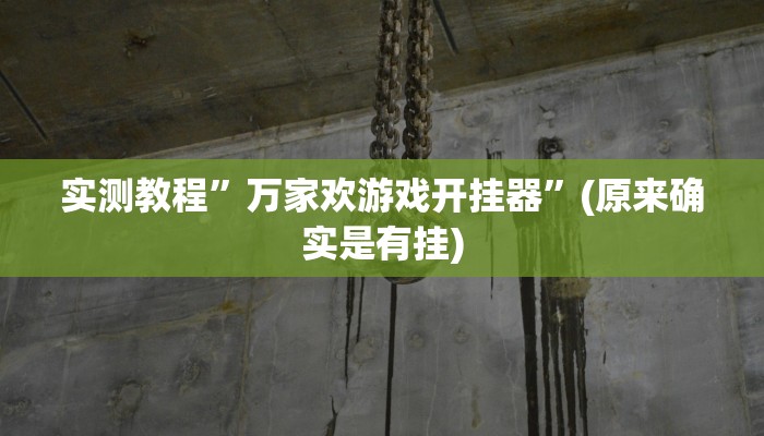 实测教程”万家欢游戏开挂器”(原来确实是有挂)
