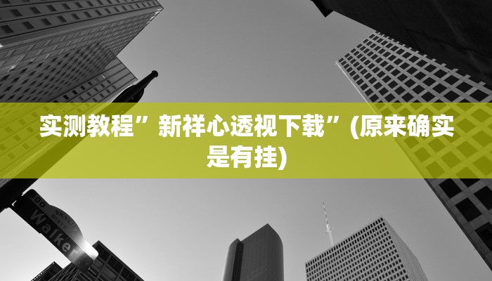 实测教程”新祥心透视下载”(原来确实是有挂)