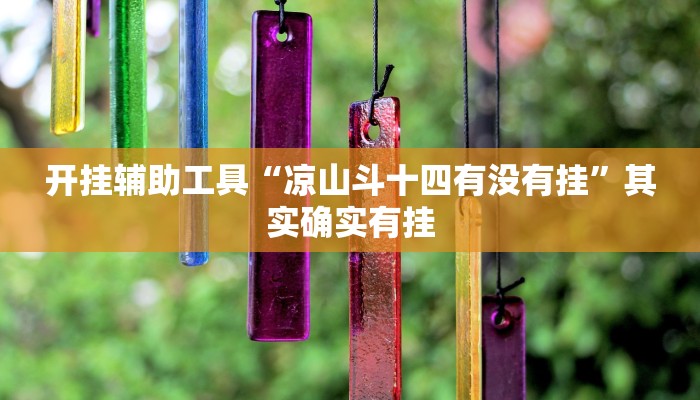 开挂辅助工具“凉山斗十四有没有挂”其实确实有挂