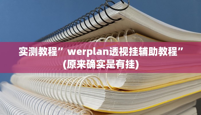 实测教程”werplan透视挂辅助教程”(原来确实是有挂)