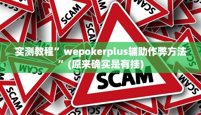 实测教程”wepokerplus辅助作弊方法”(原来确实是有挂)