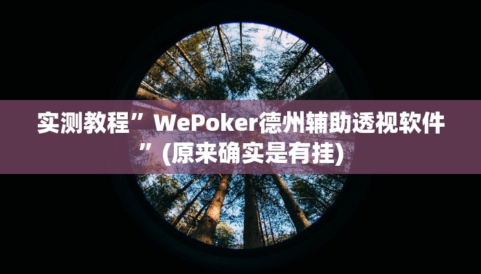 实测教程”WePoker德州辅助透视软件”(原来确实是有挂)