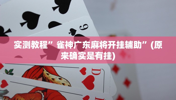 实测教程”雀神广东麻将开挂辅助”(原来确实是有挂)