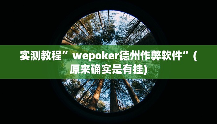 实测教程”wepoker德州作弊软件”(原来确实是有挂)