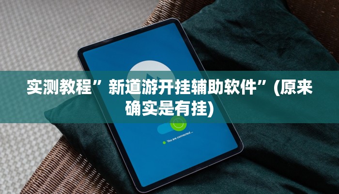 实测教程”新道游开挂辅助软件”(原来确实是有挂)