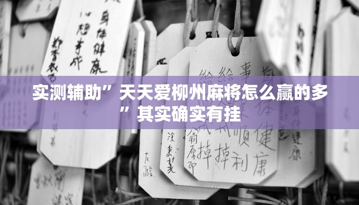 实测辅助”天天爱柳州麻将怎么赢的多”其实确实有挂