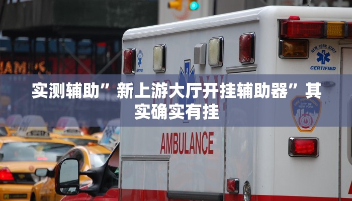实测辅助”新上游大厅开挂辅助器”其实确实有挂