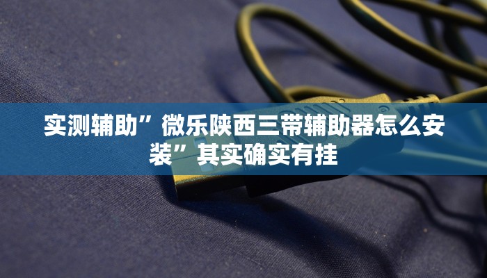 实测辅助”微乐陕西三带辅助器怎么安装”其实确实有挂