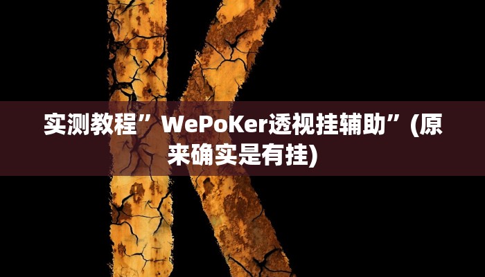 实测教程”WePoKer透视挂辅助”(原来确实是有挂)