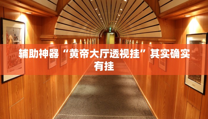 辅助神器“黄帝大厅透视挂”其实确实有挂