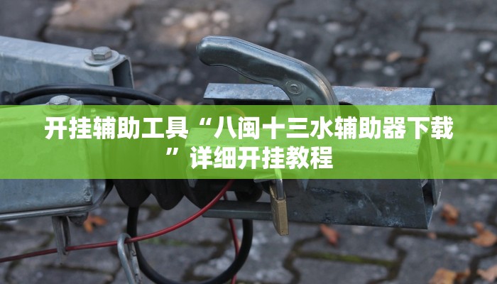 开挂辅助工具“八闽十三水辅助器下载”详细开挂教程
