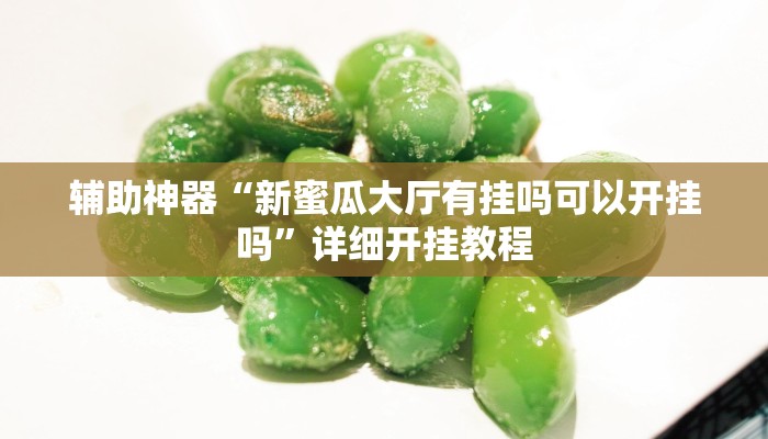 辅助神器“新蜜瓜大厅有挂吗可以开挂吗”详细开挂教程