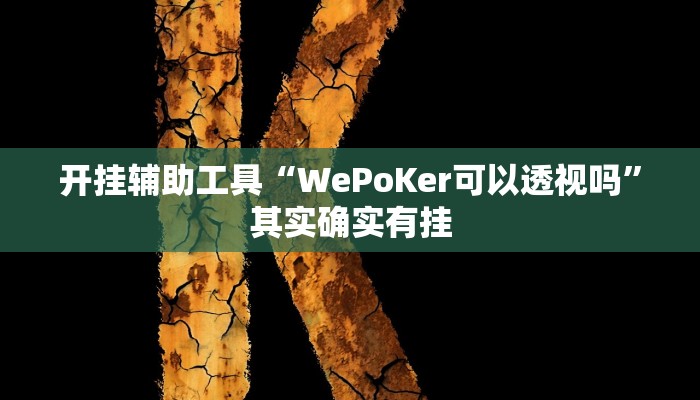 开挂辅助工具“WePoKer可以透视吗”其实确实有挂