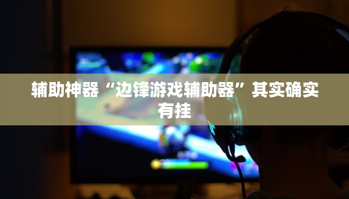 辅助神器“边锋游戏辅助器”其实确实有挂