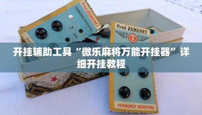 实测教程”wpk辅助透视挂”(原来确实是有挂)