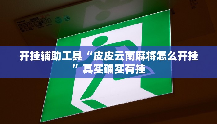 开挂辅助工具“皮皮云南麻将怎么开挂”其实确实有挂