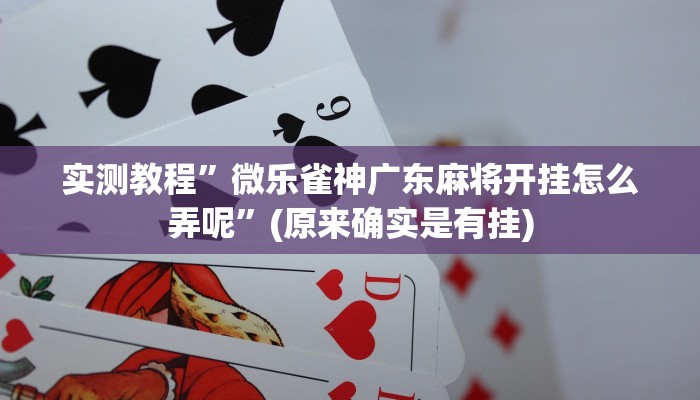 开挂辅助工具“金陵八居有挂吗可以开挂吗”详细开挂教程