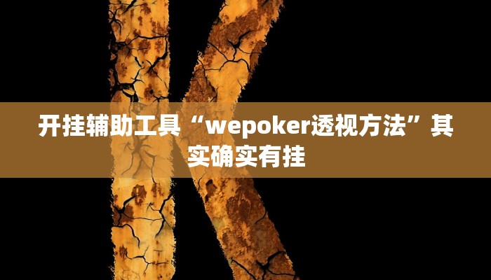 开挂辅助工具“wepoker透视方法”其实确实有挂