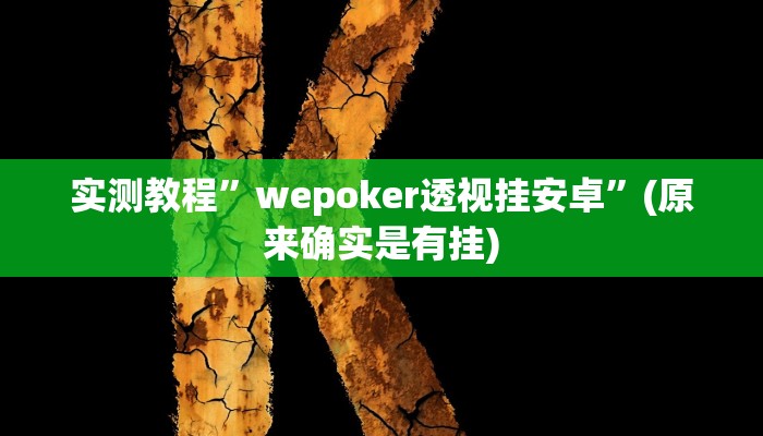 实测教程”wepoker透视挂安卓”(原来确实是有挂)