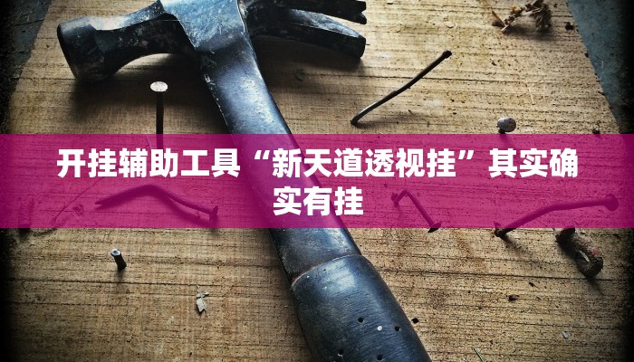 开挂辅助工具“新天道透视挂”其实确实有挂