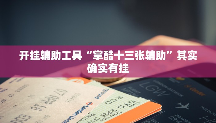 开挂辅助工具“掌酷十三张辅助”其实确实有挂
