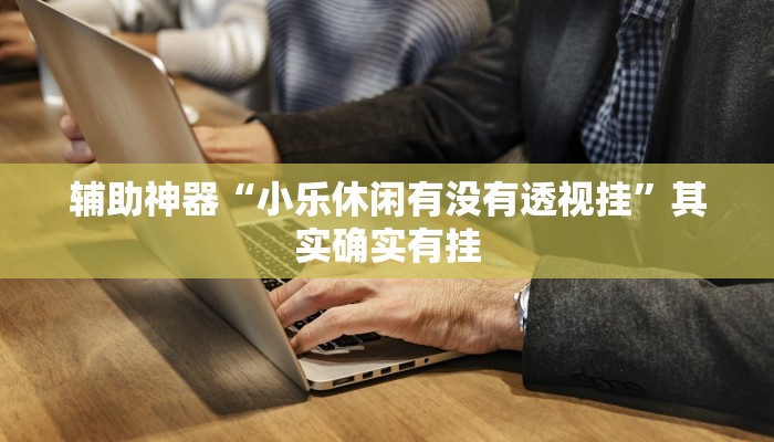 辅助神器“小乐休闲有没有透视挂”其实确实有挂