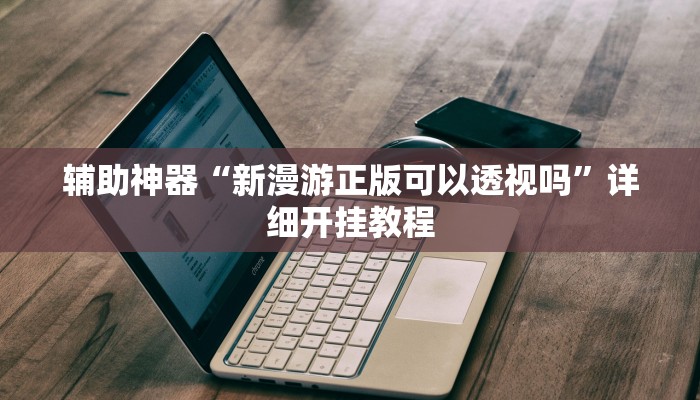 辅助神器“新漫游正版可以透视吗”详细开挂教程