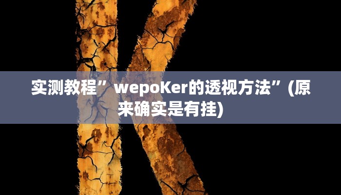 实测教程”wepoKer的透视方法”(原来确实是有挂)