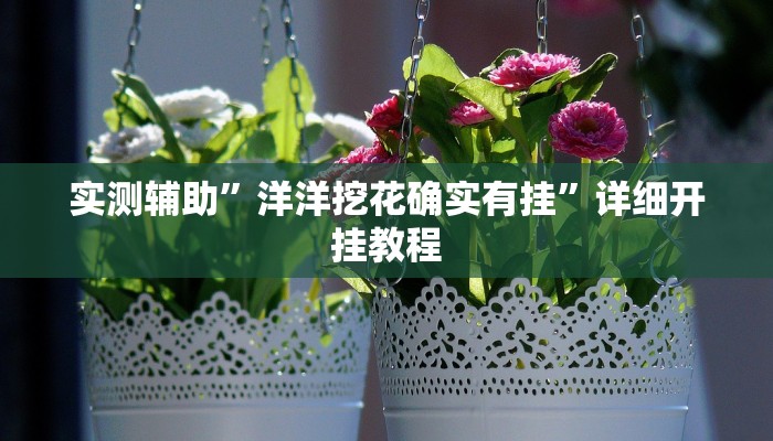 实测辅助”洋洋挖花确实有挂”详细开挂教程