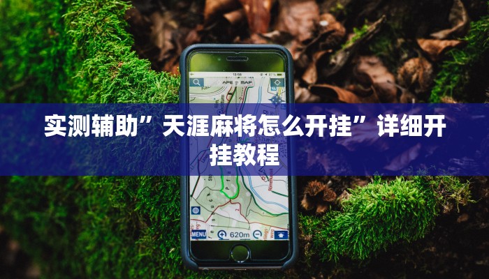 实测辅助”天涯麻将怎么开挂”详细开挂教程