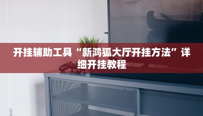 开挂辅助工具“新鸿狐大厅开挂方法”详细开挂教程