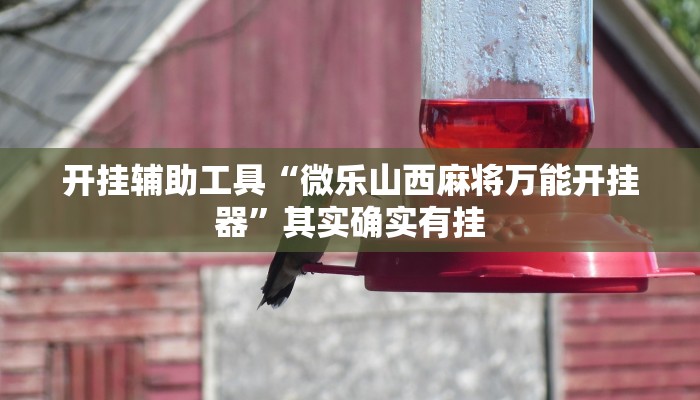 开挂辅助工具“星远叁号真的确实有挂”详细开挂教程